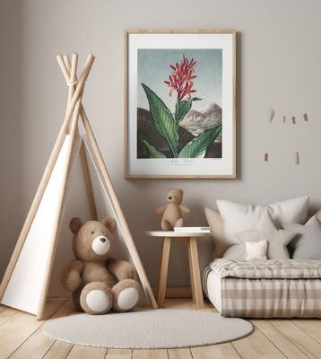 Indian Reed from The Temple of Flora (1807)