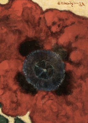 Artur Nikodem Poppy Flower