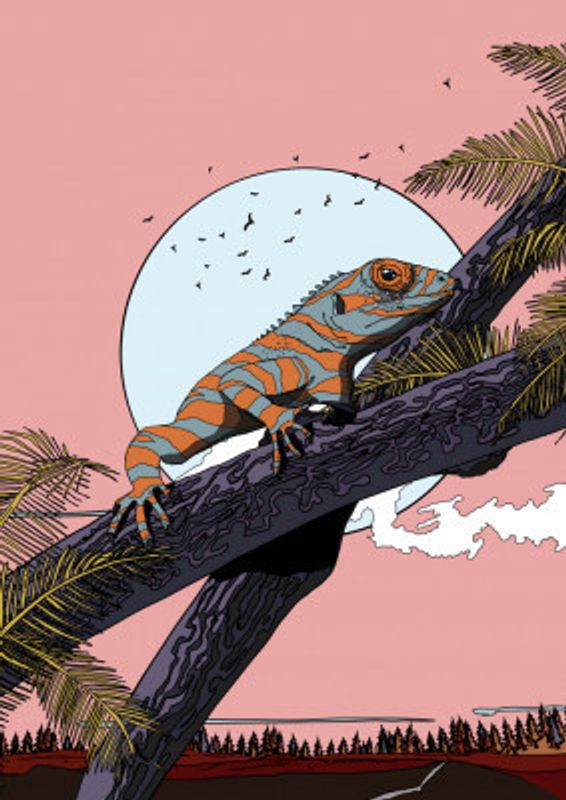 Colorful Lizard on a Branch