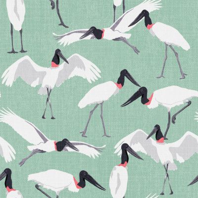 Dance of the Tuiuiui Mint