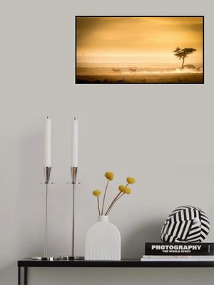 Training, because the lions await.