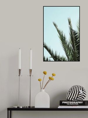 Palm leaves and sky_2