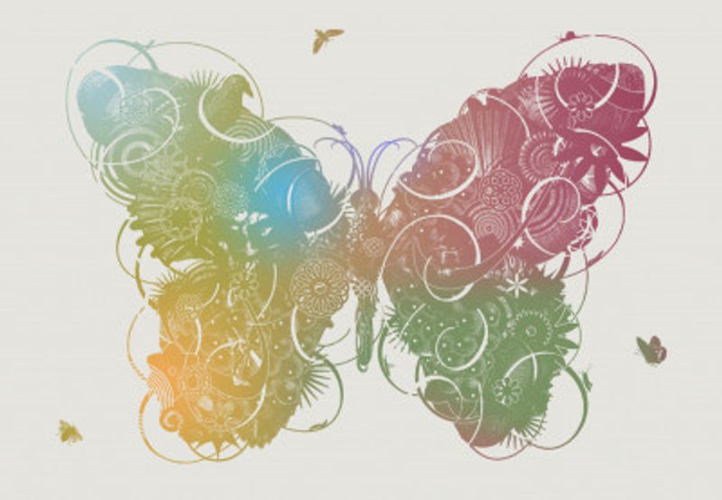 Butterfly 2