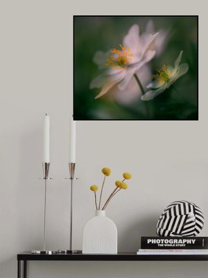 A glimpse of spring.