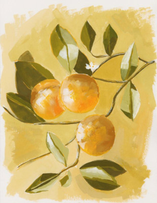 Orange Tree
