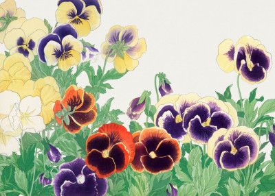 Vintage Pansy Flower No.2