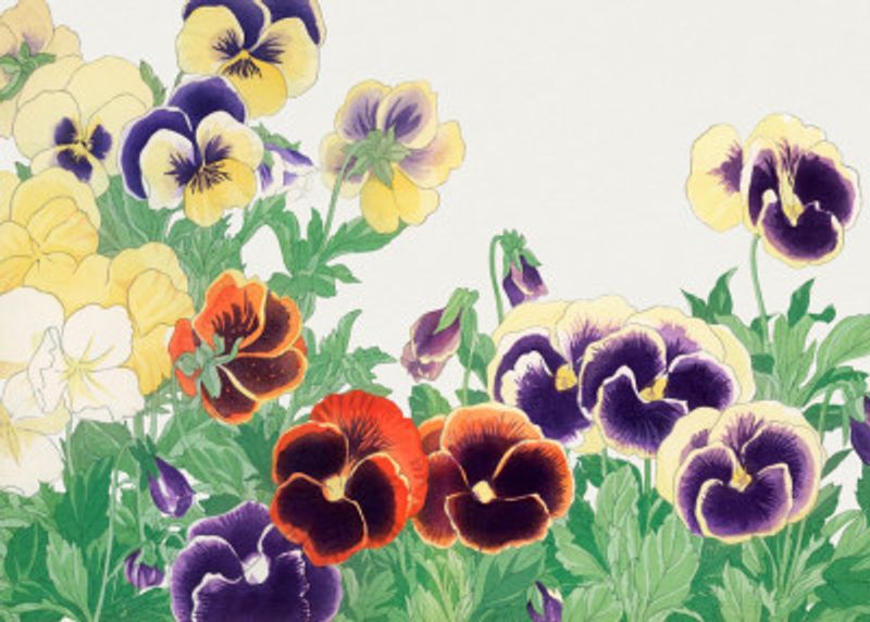 Vintage Pansy Flower No.2