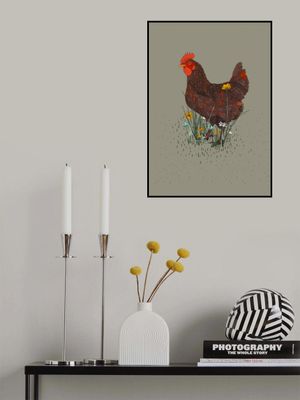 Rooster in the Meadow