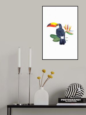 Tropical Toucan Bird