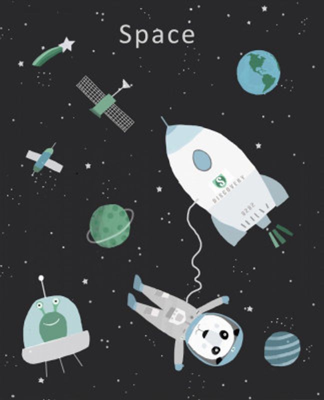 Funny Panda with Space Rocket by Artist Carla Daly