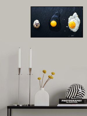 Egg Evolution Journey