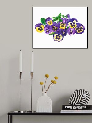 Purple And Yellow Pansies