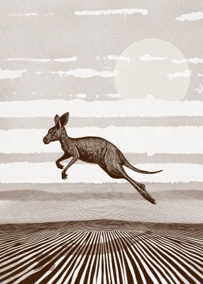 Kangaroo