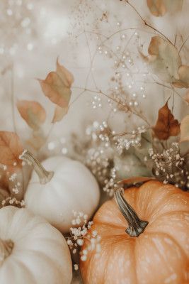 Cozypumpkinimpressionno06