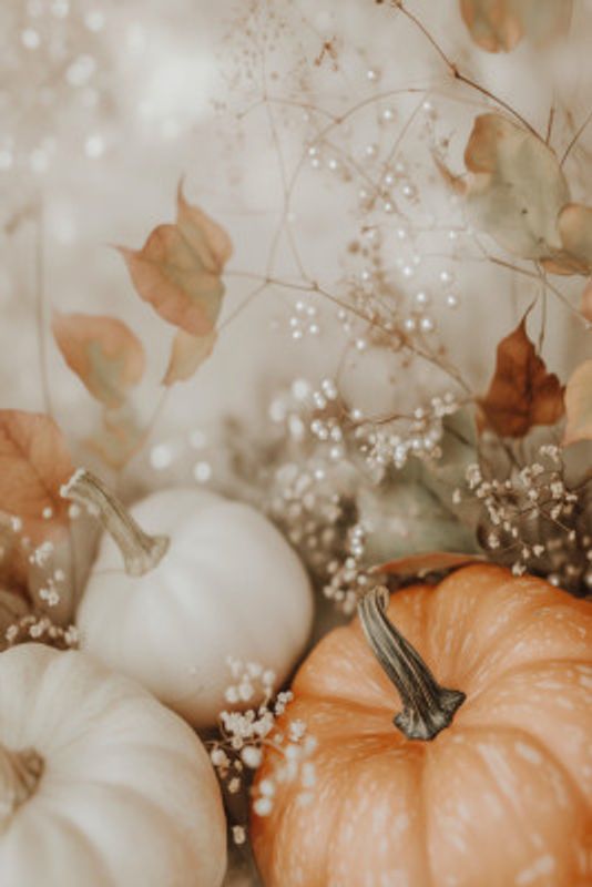 Cozypumpkinimpressionno06