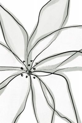 Delicate Flower Petals