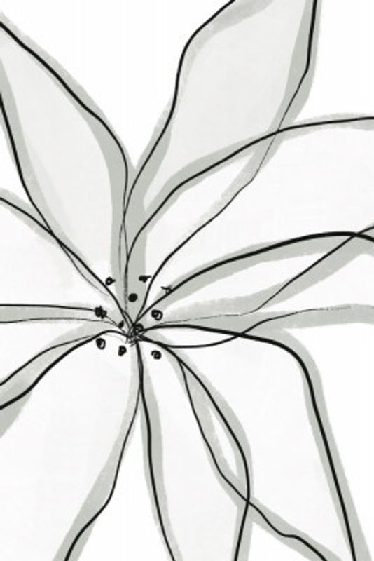 Delicate Flower Petals