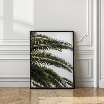 Tropical Green Palms