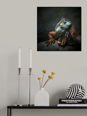 I am the King ,.. who else !