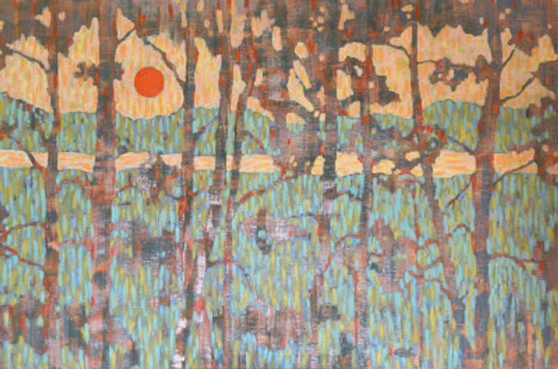 Through the Pine Branches