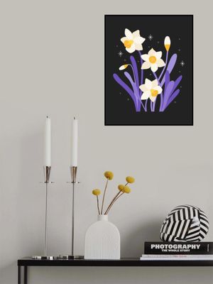 Narcissus Stars Daffodil Dark