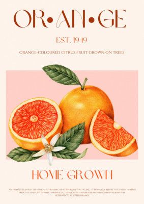 Vintage-themed With Vibrant Oranges