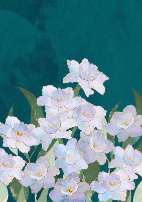 Narcissuss Flowers Turquouise