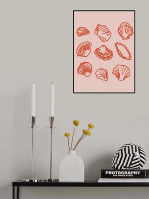 Coral Shell Symphony