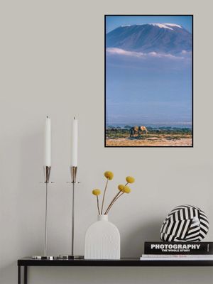 Kilimanjaro and the quiet sentinels