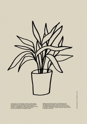 Potted Graceful Lines