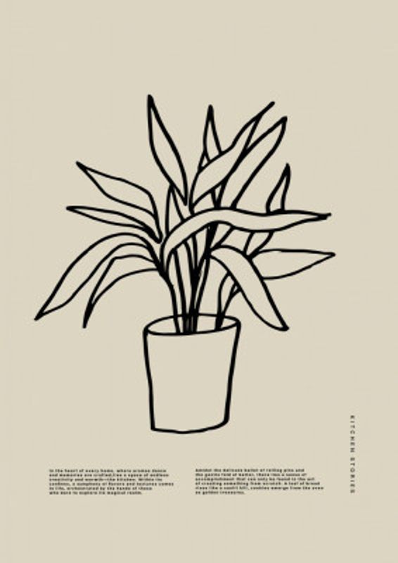 Potted Graceful Lines