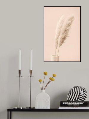 Pampas Grass Begie 13