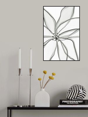 Delicate Flower Petals