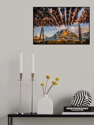 Stockfish in Lofoten