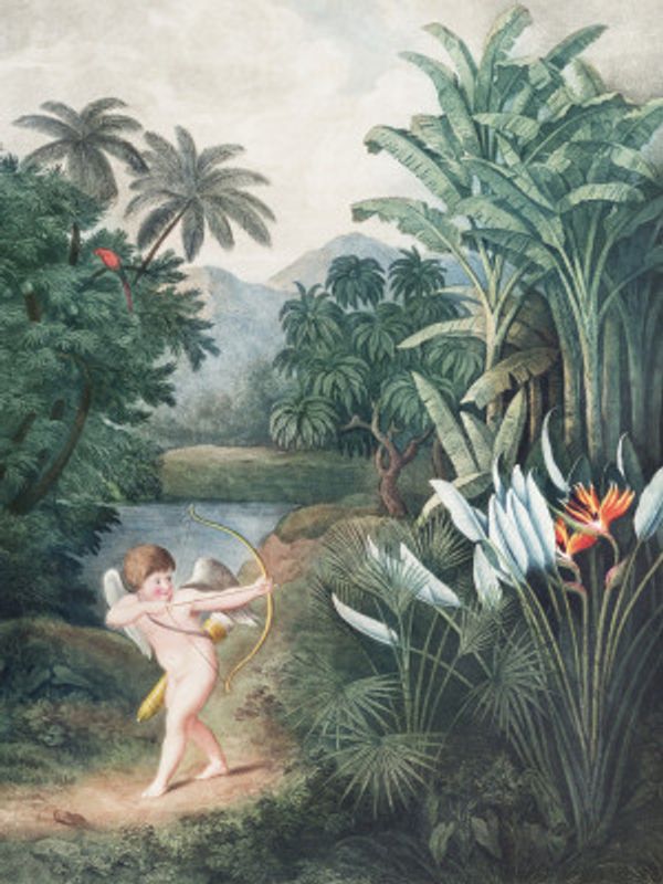 Cupid Inspiring Plants With Love From the Temple of Flora (1807) By Robert John Thornton