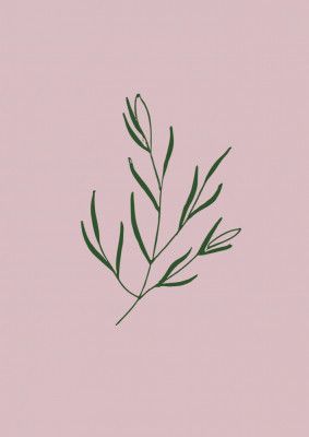 Minimal Leaf Elegance