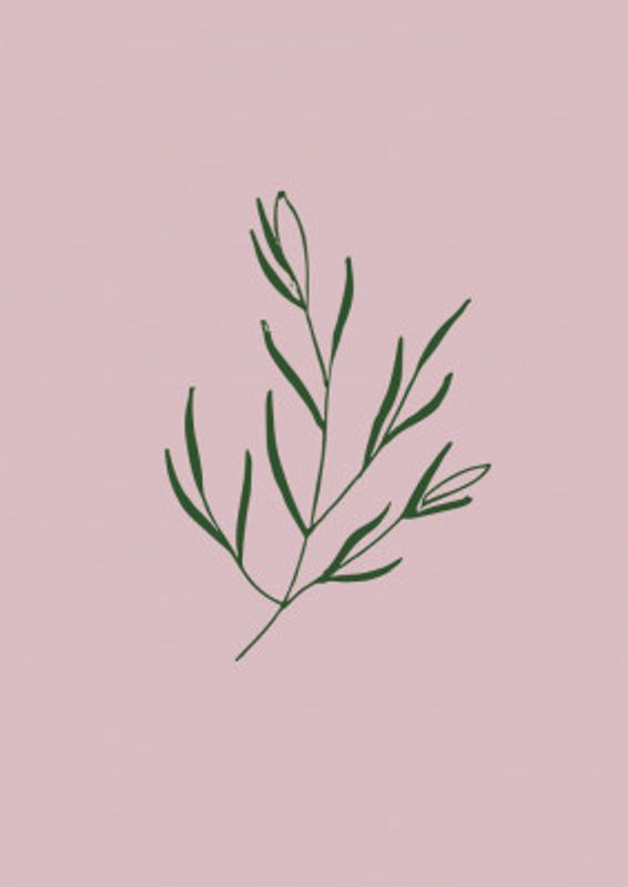 Minimal Leaf Elegance