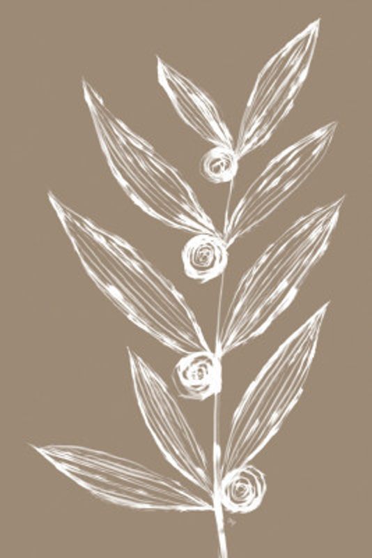 White Flowers and Leaves Sketch