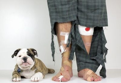 Get A Puppy, They Said