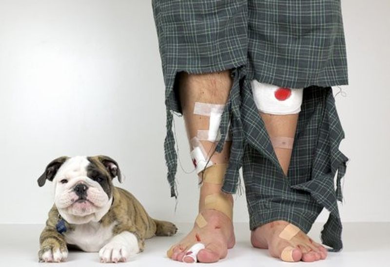 Get A Puppy, They Said