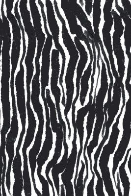 Zebra Rhythm