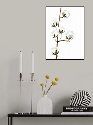 Watercolor cotton branch I