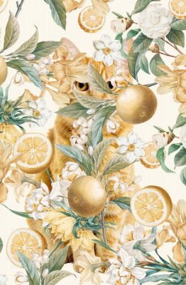 Where Orange Cats Hide