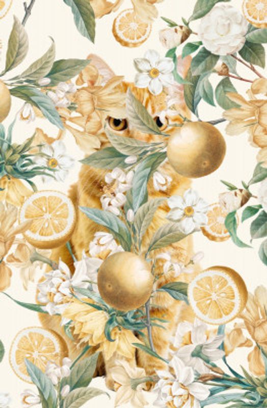 Where Orange Cats Hide