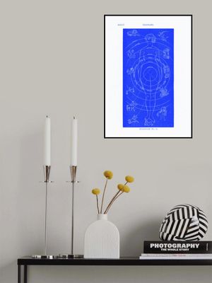 Solar Biology No. 6  blue (creative ed.)