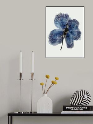 Blue Flower 1