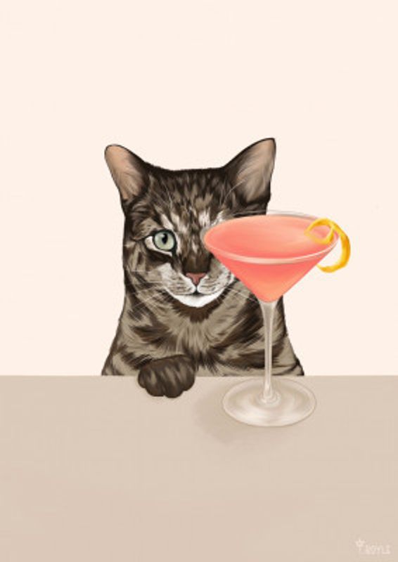 Tabby Cat with Cosmopolitan Cocktail