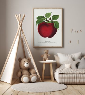 Mcintosh Red Apple Lithograph