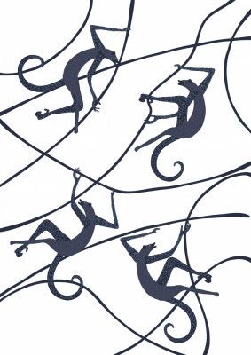 Playful Primates Dance