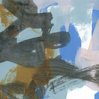 Lichen Fragment Study 2